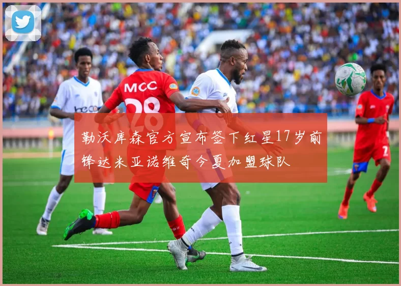 勒沃库森官方宣布签下红星17岁前锋达米亚诺维奇今夏加盟球队
